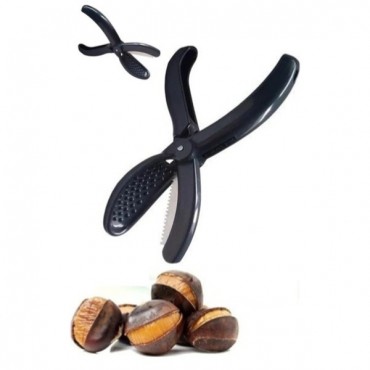 Plastik Kestane Çizeceği 