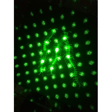 Şaka Yılan ve Kırkayak Karışık 36 Adet