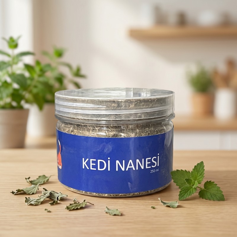 Doğal Kedi Nanesi (Catnip) - 250 ml Kavanoz - Eğlenceli ve Doğal - 2