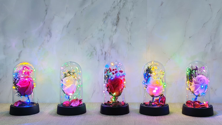 Işıklı Müzikli Romantik Büyük Gül  