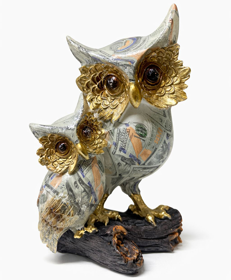 Dolar Baskılı Özel Tasarım İkili Polyester Baykuş 