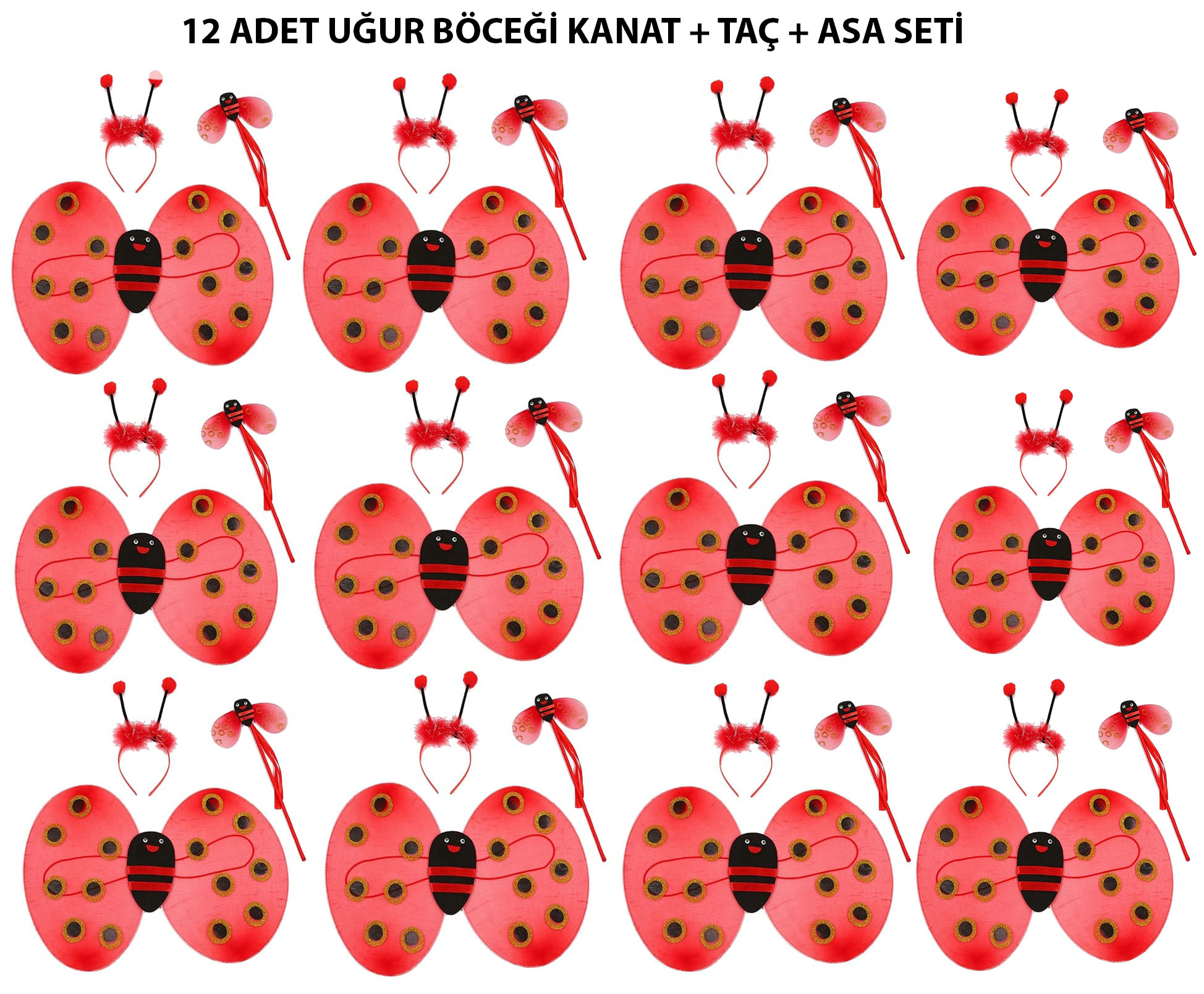 Uğur Böceği Kostüm Seti - Kanat, Taç, Asa 12 Adet