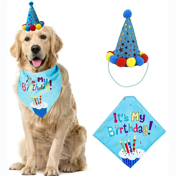 Köpekler İçin Doğum Günü Partisi Seti  - 3